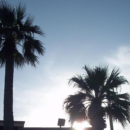 Whispering Palms Inn Del Rio Exterior foto